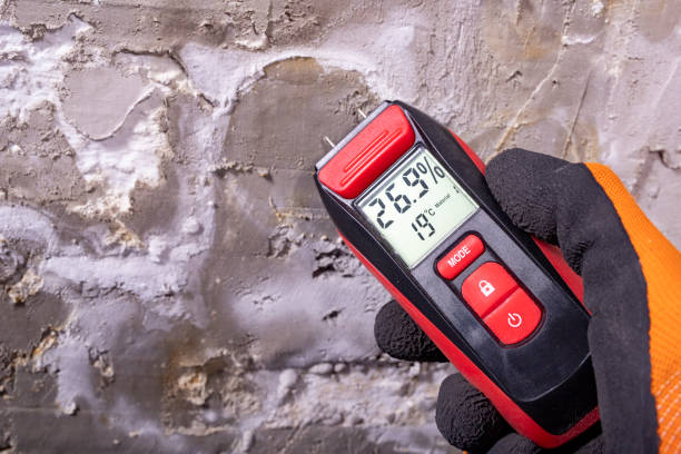 Best HVAC Mold Remediation in Sedalia, MO