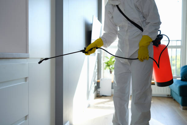 Best Health and Safety Mold Remediation in Sedalia, MO